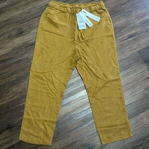 Zara ankle length pants